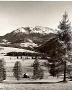 prato (Positivo) di Foto Fuchs-Hauffen, Überlingen (1950/01/01 - 1969/12/31)