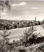 prato (Positivo) di Foto Fuchs-Hauffen, Überlingen (1950/01/01 - 1969/12/31)