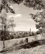 prato (Positivo) di Foto Fuchs-Hauffen, Überlingen (1950/01/01 - 1969/12/31)