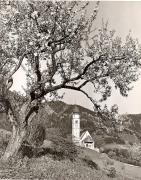chiesa (Positivo) di Foto Fuchs-Hauffen, Überlingen (1950/01/01 - 1969/12/31)