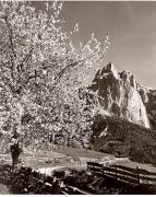 prato (Positivo) di Foto Fuchs-Hauffen, Überlingen (1950/01/01 - 1969/12/31)