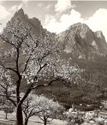 prato (Positivo) di Foto Fuchs-Hauffen, Überlingen (1950/01/01 - 1969/12/31)