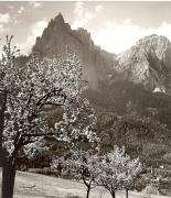 Motiv: Frühling (Positivo) di Foto Fuchs-Hauffen, Überlingen (1950/01/01 - 1969/12/31)