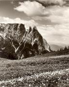 prato (Positivo) di Foto Fuchs-Hauffen, Überlingen (1950/01/01 - 1969/12/31)