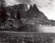 prato (Positivo) di Foto Wenzel Fischer, Garmisch (1950/01/01 - 1969/12/31)