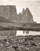 prato (Positivo) di Foto Fuchs-Hauffen, Überlingen (1950/01/01 - 1969/12/31)