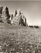 Almhütte Seiser Alm (Positivo) di Foto Fuchs-Hauffen, Überlingen (1950/01/01 - 1969/12/31)