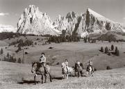 cavallo (Positivo) di Foto Storto, Bozen (1950/01/01 - 1969/12/31)