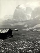 Almhütte Seiser Alm (Positivo) di Foto Hermann Frass, Bozen (1950/01/01 - 1969/12/31)