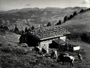 Almhütte Seiser Alm (Positivo) di Foto Wenzel Fischer, Garmisch (1950/01/01 - 1969/12/31)