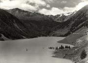 bosco (Positivo) di Foto Edizioni Ghedina (1950/01/01 - 1979/12/31)