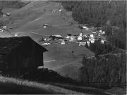 bosco (Positivo) di Foto Tappeiner, Meran (1950/01/01 - 1969/12/31)