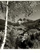 prato (Positivo) di Foto Fuchs-Hauffen, Überlingen (1950/01/01 - 1969/12/31)