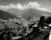 bosco (Positivo) (1950/01/01 - 1969/12/31)