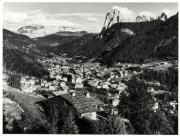 bosco (Positivo) (1950/01/01 - 1969/12/31)