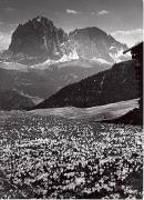 Motiv: Frühling (Positivo) di Foto Wenzel Fischer, Garmisch (1950/01/01 - 1969/12/31)