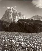 Motiv: Frühling (Positivo) di Foto Fuchs-Hauffen, Überlingen (1950/01/01 - 1969/12/31)