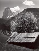 Almhütte Gröden (Positivo) di Foto Wenzel Fischer, Garmisch (1950/01/01 - 1969/12/31)