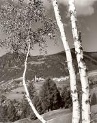 prato (Positivo) di Foto Fuchs-Hauffen, Überlingen (1950/01/01 - 1969/12/31)