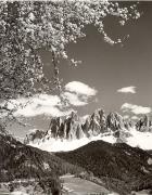 prato (Positivo) di Foto Fuchs-Hauffen, Überlingen (1950/01/01 - 1969/12/31)