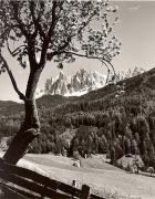 prato (Positivo) di Foto Fuchs-Hauffen, Überlingen (1950/01/01 - 1969/12/31)