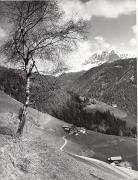 bosco (Positivo) di Foto Löbl, Bad Tölz/Oberbayern (1950/01/01 - 1969/12/31)