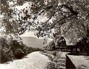 Motiv: Herbst (Positivo) di Foto Fuchs-Hauffen, Überlingen (1950/01/01 - 1969/12/31)