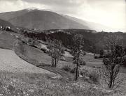 bosco (Positivo) di Foto Löbl, Bad Tölz/Oberbayern (1950/01/01 - 1969/12/31)