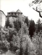 bosco (Positivo) di Foto Löbl, Bad Tölz/Oberbayern (1950/01/01 - 1969/12/31)