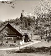 Motiv: Frühling (Positivo) di Foto Fuchs-Hauffen, Überlingen (1950/01/01 - 1969/12/31)
