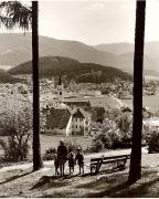 prato (Positivo) di Foto Fuchs-Hauffen, Überlingen (1950/01/01 - 1969/12/31)