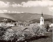 prato (Positivo) di Foto Fuchs-Hauffen, Überlingen (1950/01/01 - 1969/12/31)