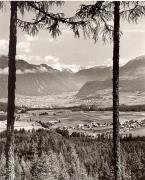 prato (Positivo) di Foto Fuchs-Hauffen, Überlingen (1950/01/01 - 1969/12/31)