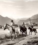 cavallo (Positivo) di Foto Fuchs-Hauffen, Überlingen (1950/01/01 - 1969/12/31)