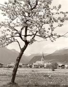 prato (Positivo) di Foto Fuchs-Hauffen, Überlingen (1950/01/01 - 1969/12/31)