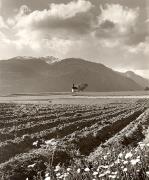 chiesa (Positivo) di Foto Fuchs-Hauffen, Überlingen (1950/01/01 - 1969/12/31)