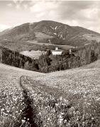 Schloß Lamprechtsburg (Bruneck) (Positivo) di Foto Fuchs-Hauffen, Überlingen (1950/01/01 - 1969/12/31)