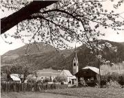 Motiv: Frühling (Positivo) di Foto Fuchs-Hauffen, Überlingen (1950/01/01 - 1969/12/31)
