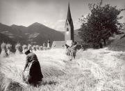 chiesa (Positivo) di Foto Tappeiner, Meran (1950/01/01 - 1969/12/31)