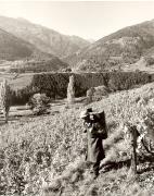 Bauer(in) / Landarbeiter(in) (Positivo) di Foto Fuchs-Hauffen, Überlingen (1950/01/01 - 1969/12/31)