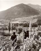 Bauer(in) / Landarbeiter(in) (Positivo) di Foto Fuchs-Hauffen, Überlingen (1950/01/01 - 1969/12/31)