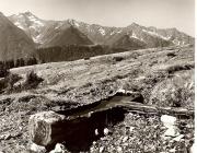 Brunnen in Sterzing (Positivo) di Foto Fuchs-Hauffen, Überlingen (1950/01/01 - 1969/12/31)