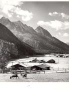 prato (Positivo) di Foto Fuchs-Hauffen, Überlingen (1950/01/01 - 1969/12/31)