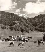 prato (Positivo) di Foto Fuchs-Hauffen, Überlingen (1950/01/01 - 1969/12/31)