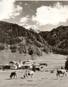 prato (Positivo) di Foto Fuchs-Hauffen, Überlingen (1950/01/01 - 1969/12/31)