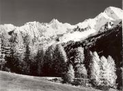 bosco (Positivo) di Foto Tappeiner, Meran (1950/01/01 - 1969/12/31)