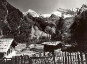 bosco (Positivo) di Foto Tappeiner, Meran (1950/01/01 - 1969/12/31)