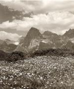 prato (Positivo) di Foto Fuchs-Hauffen, Überlingen (1950/01/01 - 1969/12/31)