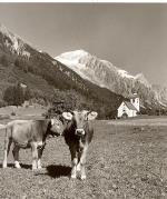 chiesa (Positivo) di Foto Fuchs-Hauffen, Überlingen (1950/01/01 - 1969/12/31)