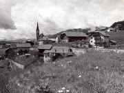 bosco (Positivo) di Foto Tappeiner, Meran (1950/01/01 - 1969/12/31)